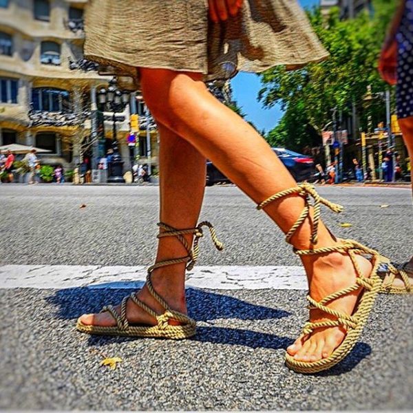 Romano Camel - Image 2