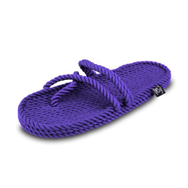 Anesis Purple